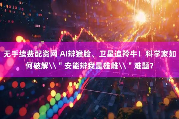 无手续费配资网 AI辨猴脸、卫星追羚牛！科学家如何破解\＂安能辨我是雄雌\＂难题？