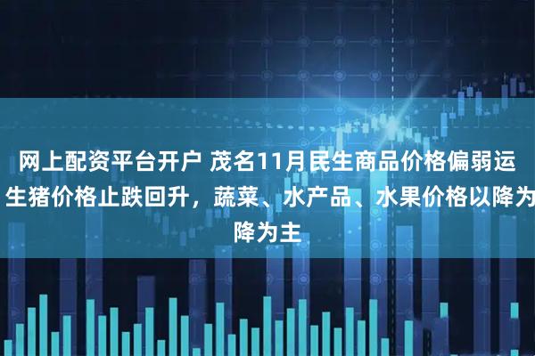 网上配资平台开户 茂名11月民生商品价格偏弱运行 生猪价格止跌回升，蔬菜、水产品、水果价格以降为主